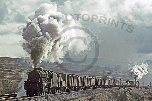 45236 Shap Wells 281067 NSRAN2011-15