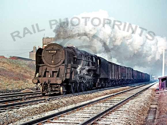 92050 Rugby Central 211263 NSRAN2018-19-Edit
