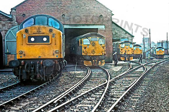 40194 Inverness Shed 310578 JC194