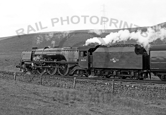 46231 Crawford 1959 DA018_edited-1