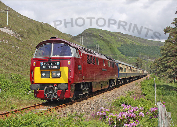 D1015-Achnashellach-200609-JC9712R