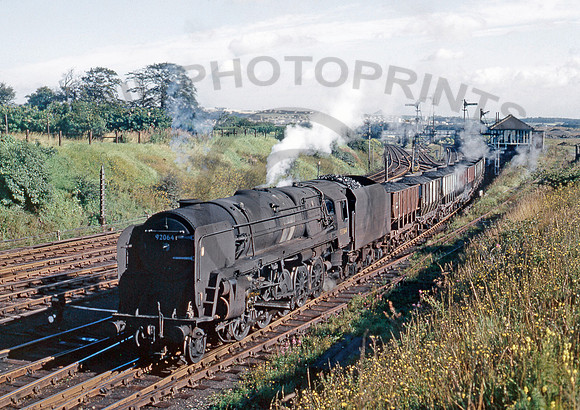 92064-Y-SouthPelaw-0765-DCC614