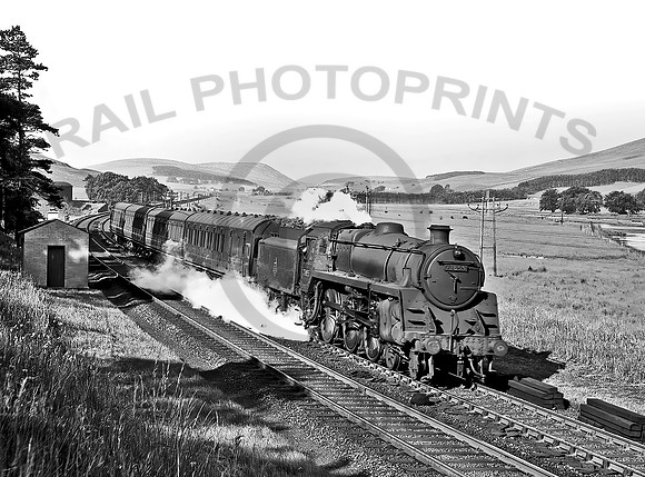 73055 Lamington 050758 DA055