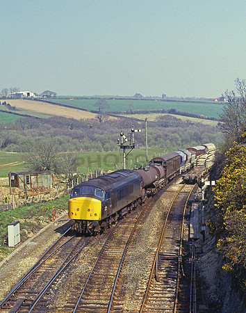 45051-Par-190485-RP247