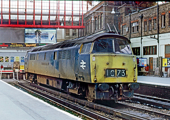 1037-Y-Brighton-0772-RPC303