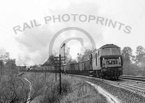 D7014-Y-DiltonMarsh-021163-RPC84