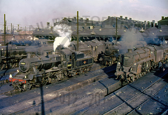 Willesden 100664 HB805