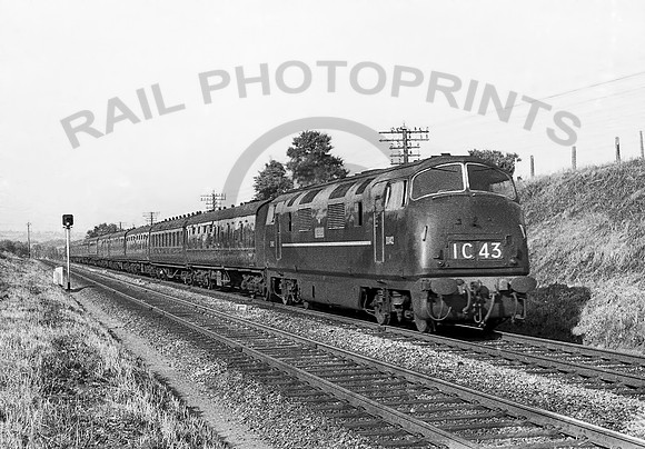 D842-Y-Wellington-0662-RPC941