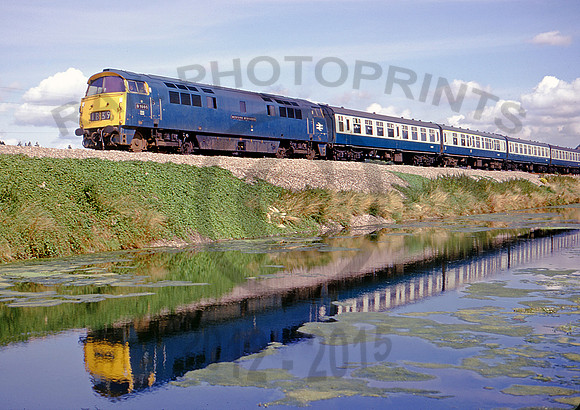 D1005 Crofton 130975 DM121-30