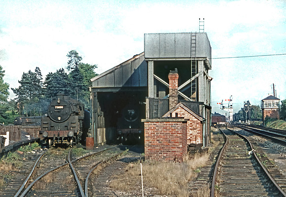 73050 Branksome shed  150861 HB585