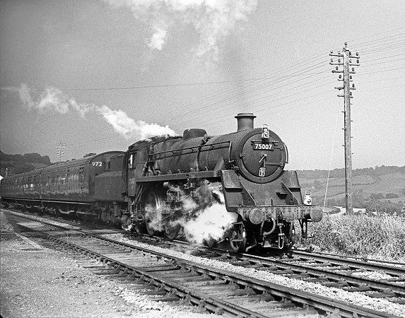 75007-Y-Wellow-190764-JC618