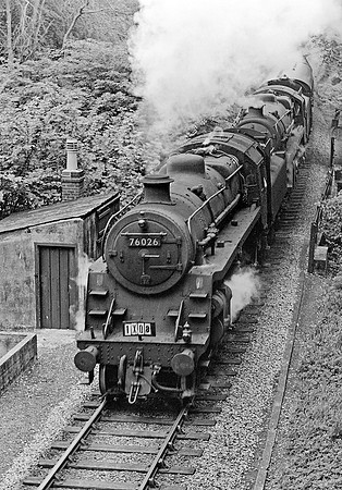 76026 Lyncombe Vale  180564  HB363