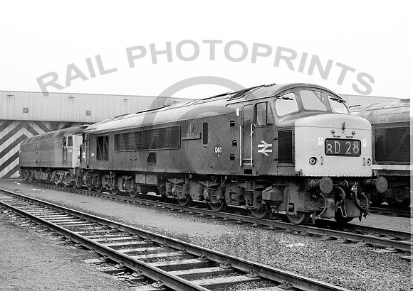 D61- Toton-231169-HB661