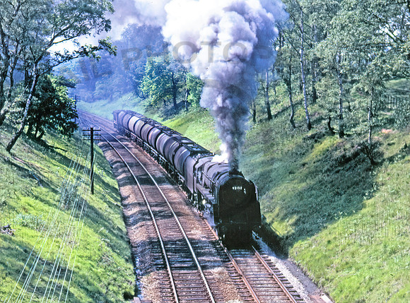92152 Delamere Forest 0667 KLC152
