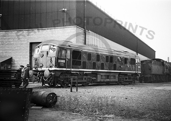 D5003 Derby 1959 RPC917