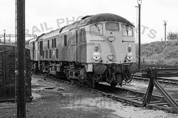 24081 Cockshute SP 020778