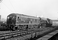 D5110 Haymarket 301260  DA064
