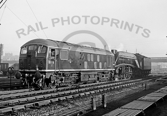 D5110 Haymarket 301260  DA064