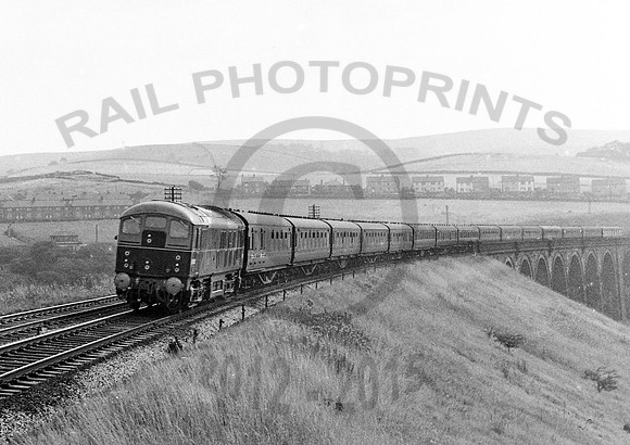 D5000-Y-NewtownViaduct-0958-AHB809