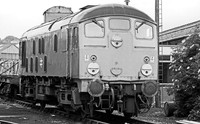 24035 Cockshute SP 020778