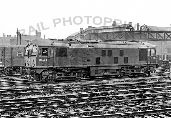 D5083-Y-Chester-0363-CW597