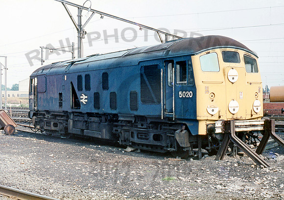 5020 Reddish 0776 RPC997