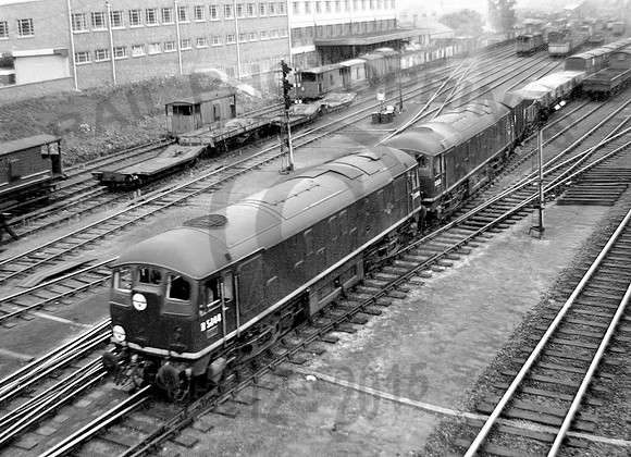 D5044-Y-Ipswich-960-JCooper442