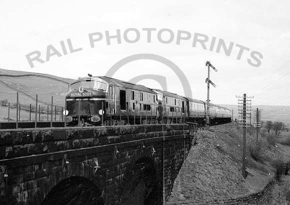 10000-Y-Tebay-Circa1953-RPC380