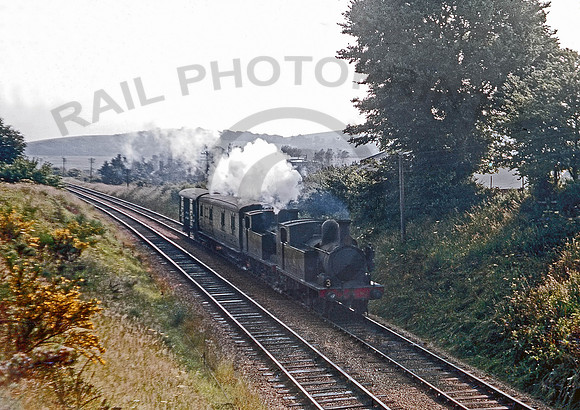W29-35-Y-Sandown-0664-BR440