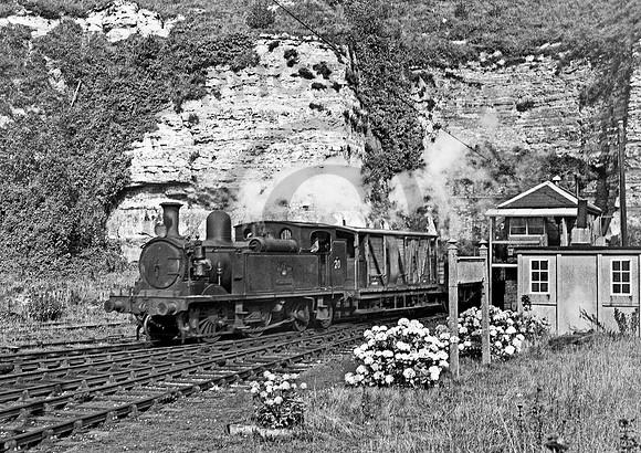 W20 Ventnor 250653 DC894
