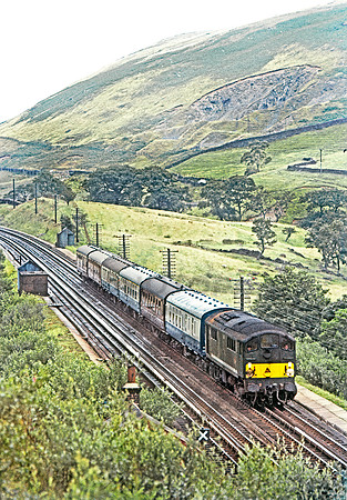 D5716 Dillicar 290767 NSRAN2011-19
