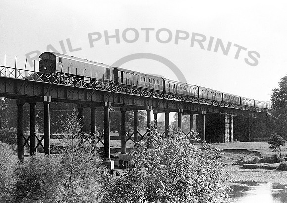 D5719-Y-Ripon-1059-RPC087