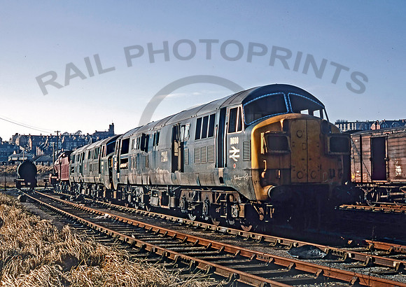 D600-Y-Barry-0270-DCC015