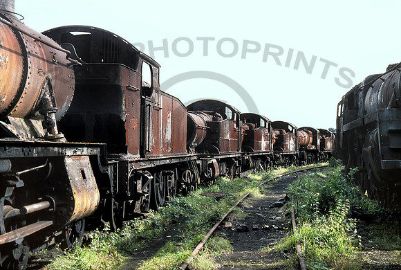 5538-Barry-0879 GE538