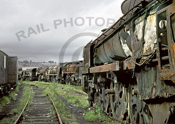 35029 Barry-0879 GE029