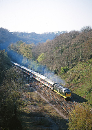 D9000-FoxsWood-130497-JC981