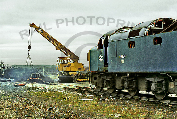 40134 25215 Swindon Works 311083 GE134