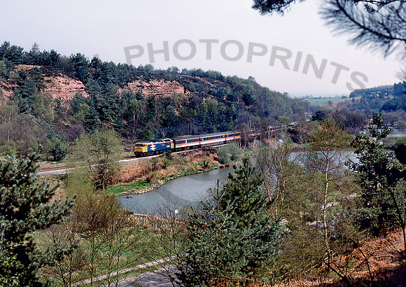 47580-Y-CannockChase-240488-BR285