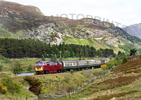D1015-Crubenmore-210609-JC9762