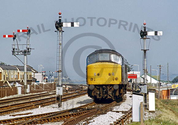 46014-Y-DawlishWarren-250883-PB938