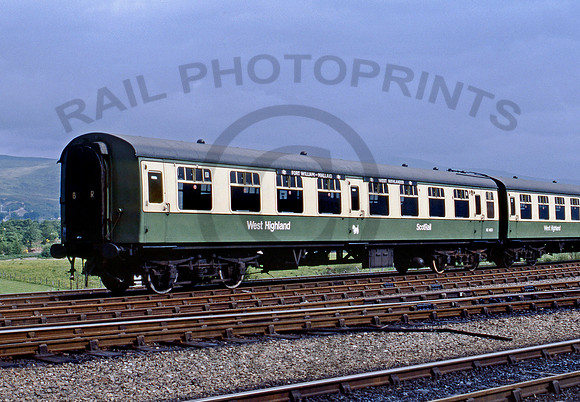 West Highland SC4623 250686 JC443