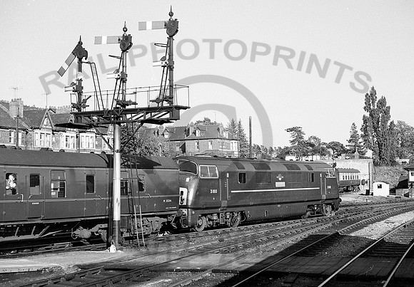 D860-Y-Hereford-circa1965-AHB823