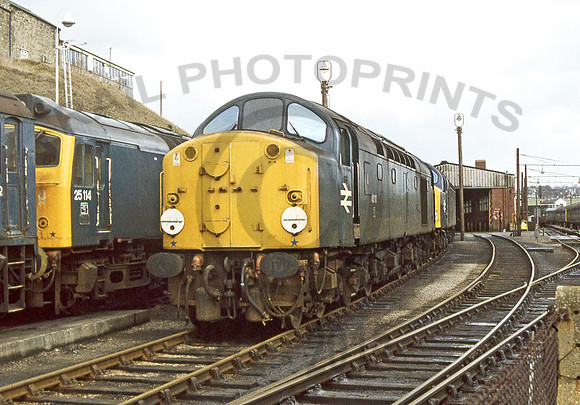 40110-Buxton-270378-JC554