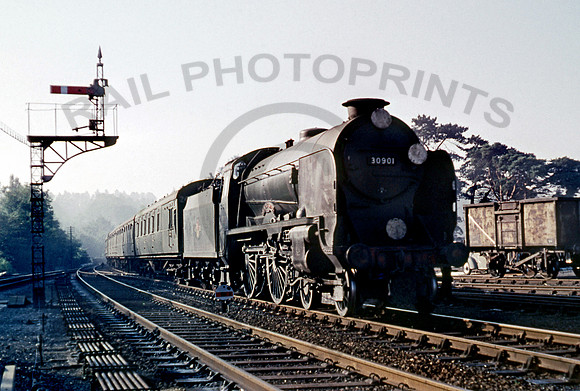 30901 Oxted 310861 DC221