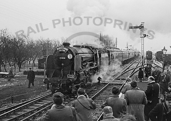 30926 Appledore 250262 IT714