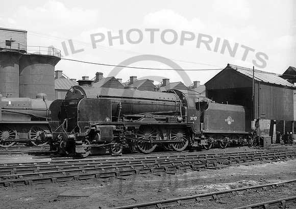 30917-Y-Brighton-100662-679
