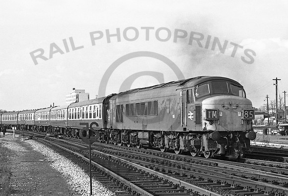 95 Gloucester 0273  NP846