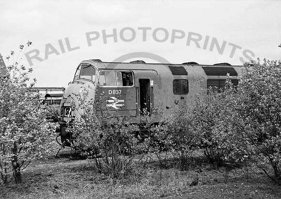 837 Swindon 230572 JM220