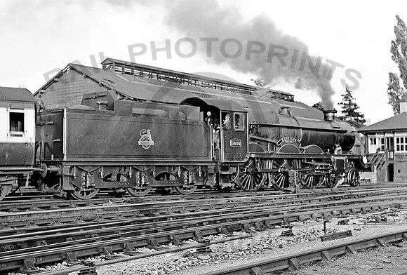 5080 Hereford 310853   NPC223