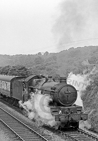 5071 Dainton 260755   NP305-1